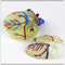Human Adult  Medical Heart Model Transparent Plastic For Demonstration